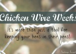Join us at Vintage Frontier for a fun week of creative ways to use Chicken Wire.